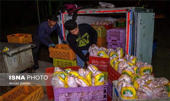مرغ‌های تنظیم بازار، در راه خوزستان به کجا پر می‌کشند؟