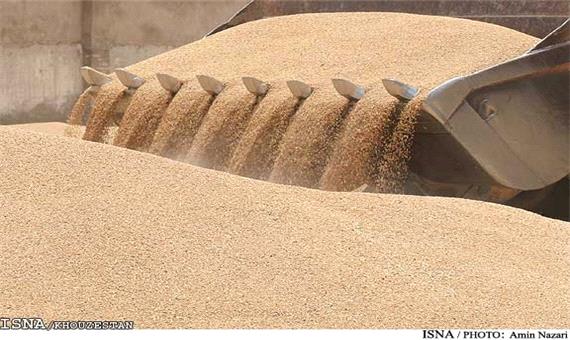 خرید بیش از 28 هزار تن گندم و کلزا از کشاورزان خوزستانی